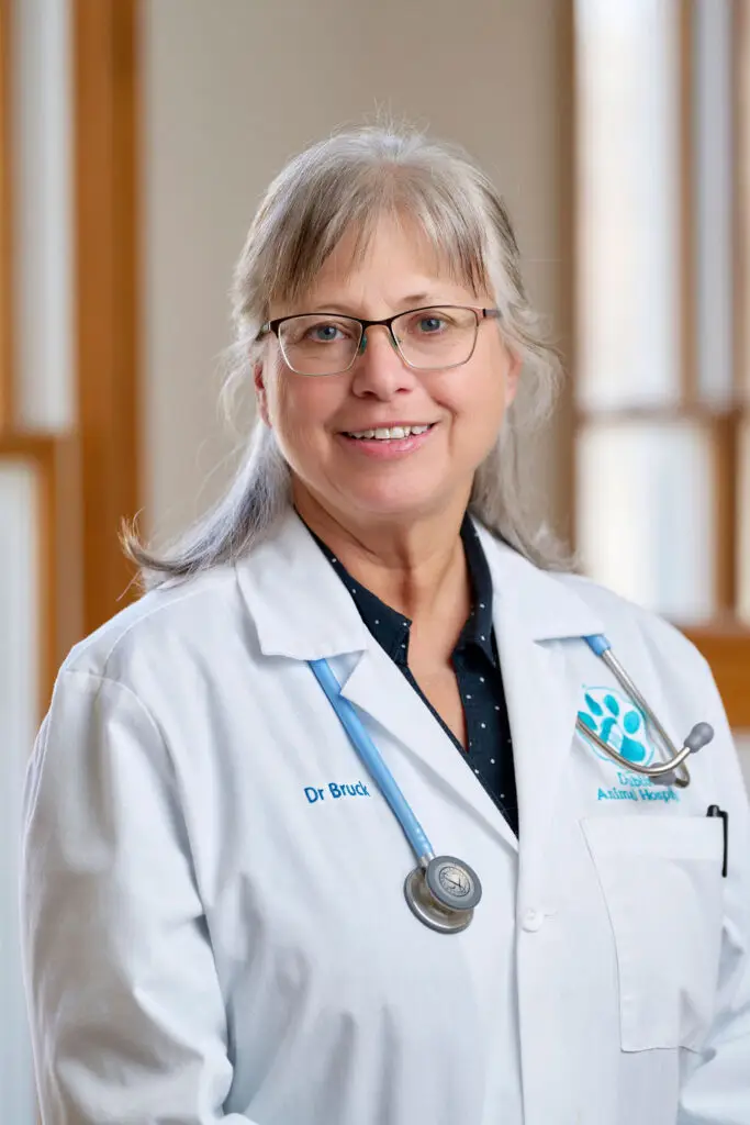 Dr. Maria Bruck of Dublin Animal Hospital